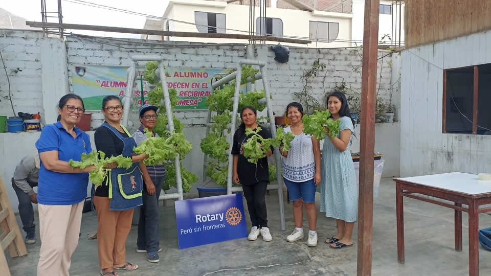 cosecha-dia-56 cosecha-dia-56