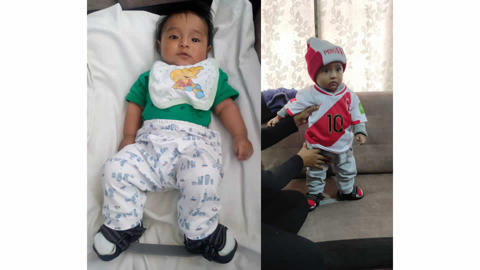 Proyecto Cambiando Vidas - Banco de férulas