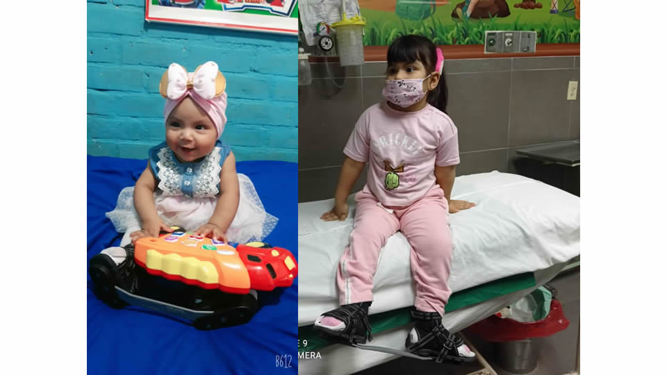 Proyecto Cambiando Vidas - Banco de férulas