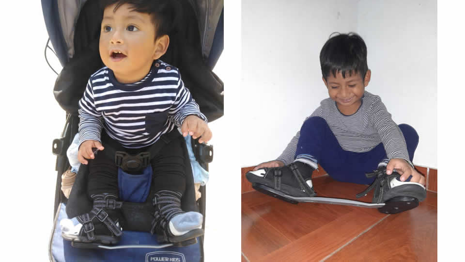 Proyecto Cambiando Vidas - Banco de férulas