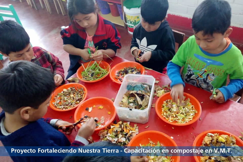 Cuidado del Medio Ambiente